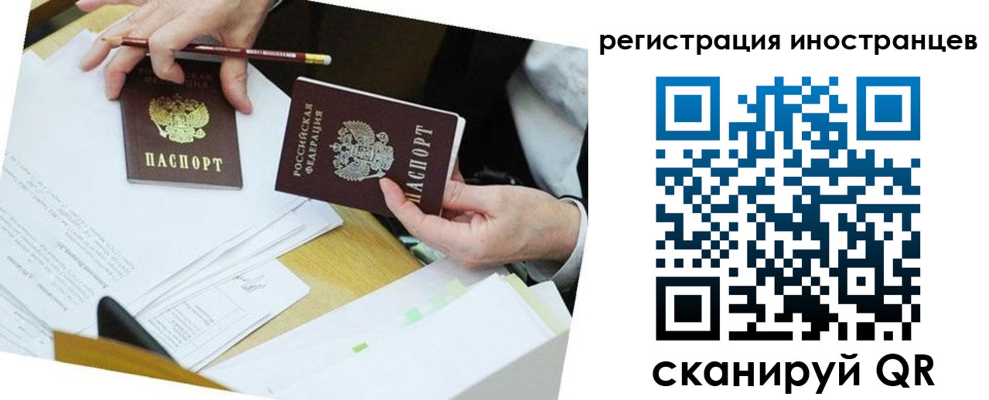прописка ребенка в Сланцах